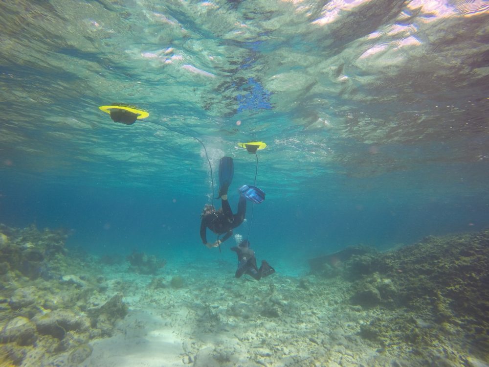 Underwater hookah dive system