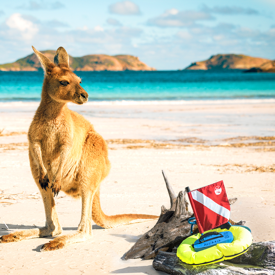 Discover Australia with the Help of Nemo