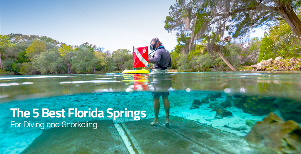 The 5 Best Florida Springs for Diving and Snorkeling