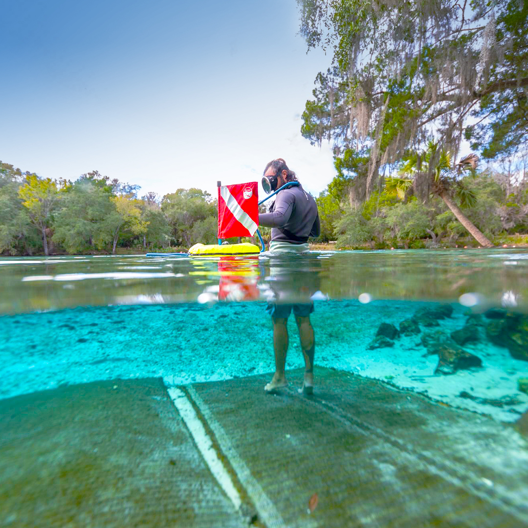 The 5 Best Florida Springs for Diving and Snorkeling
