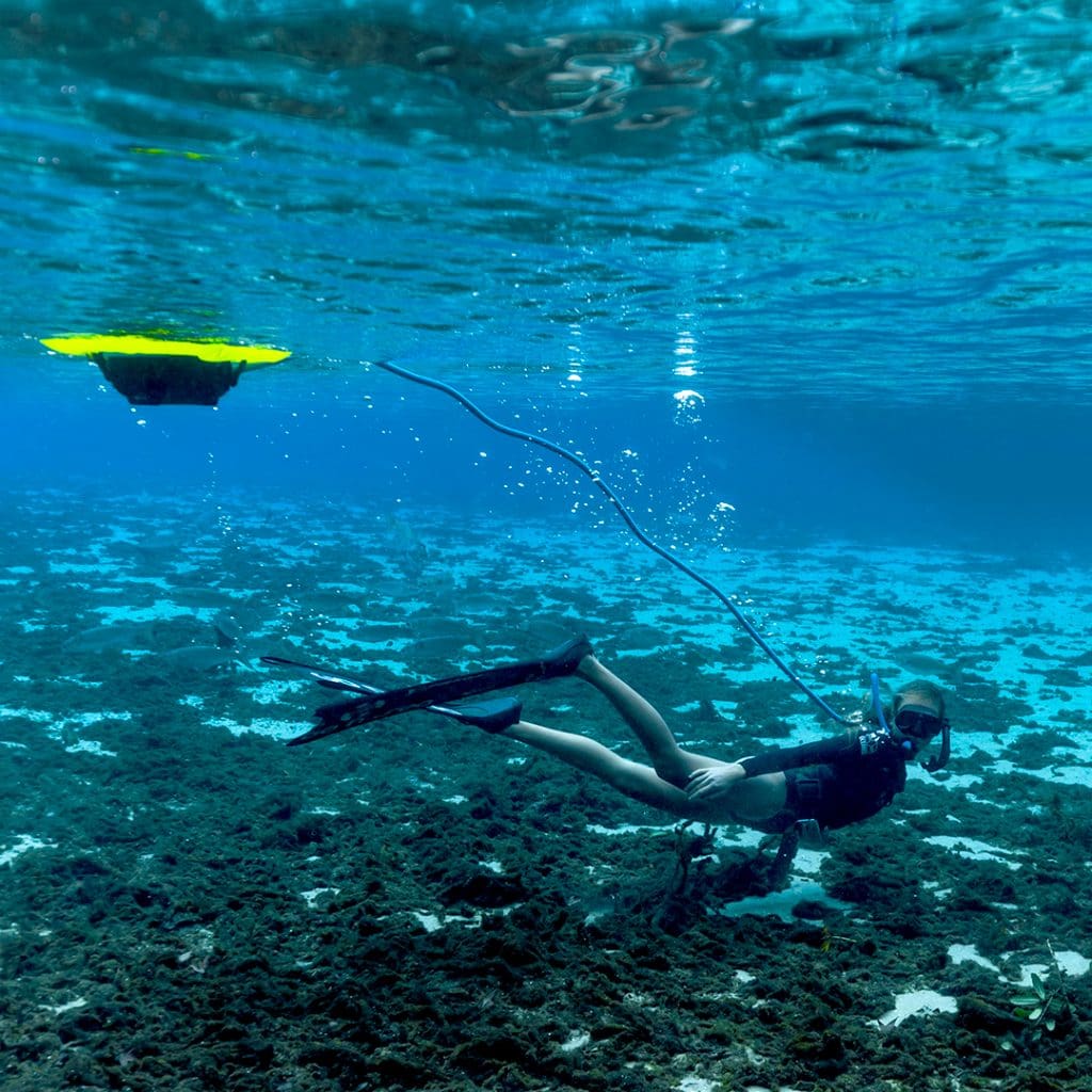 Nemo diver underwater