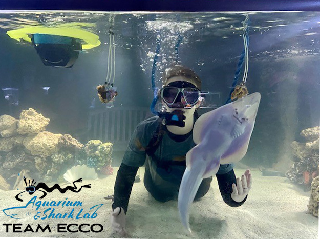 Photo showing Nemo being used in a Aquarium to help with shark research