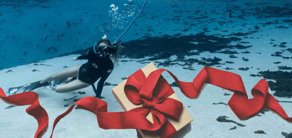 Holiday underwater gift guide nemo