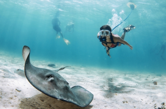 woman underwater diving with BLU3 Nemo & stingray