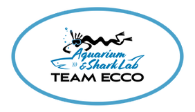 Aquarium-Shark-Lab-by-Team-ECCO-logo