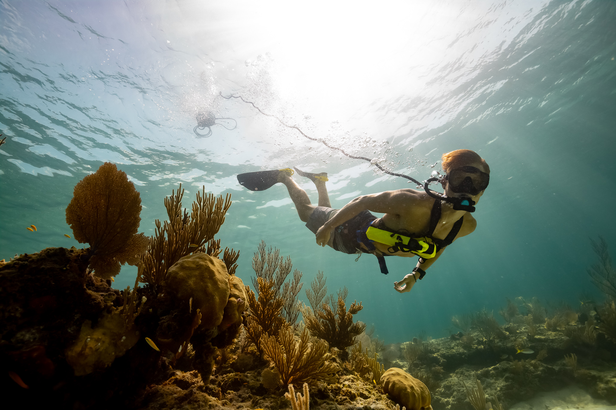 Tankless Dive System Discover Tankless Scuba Diving With a Portable Diving System from BLU3