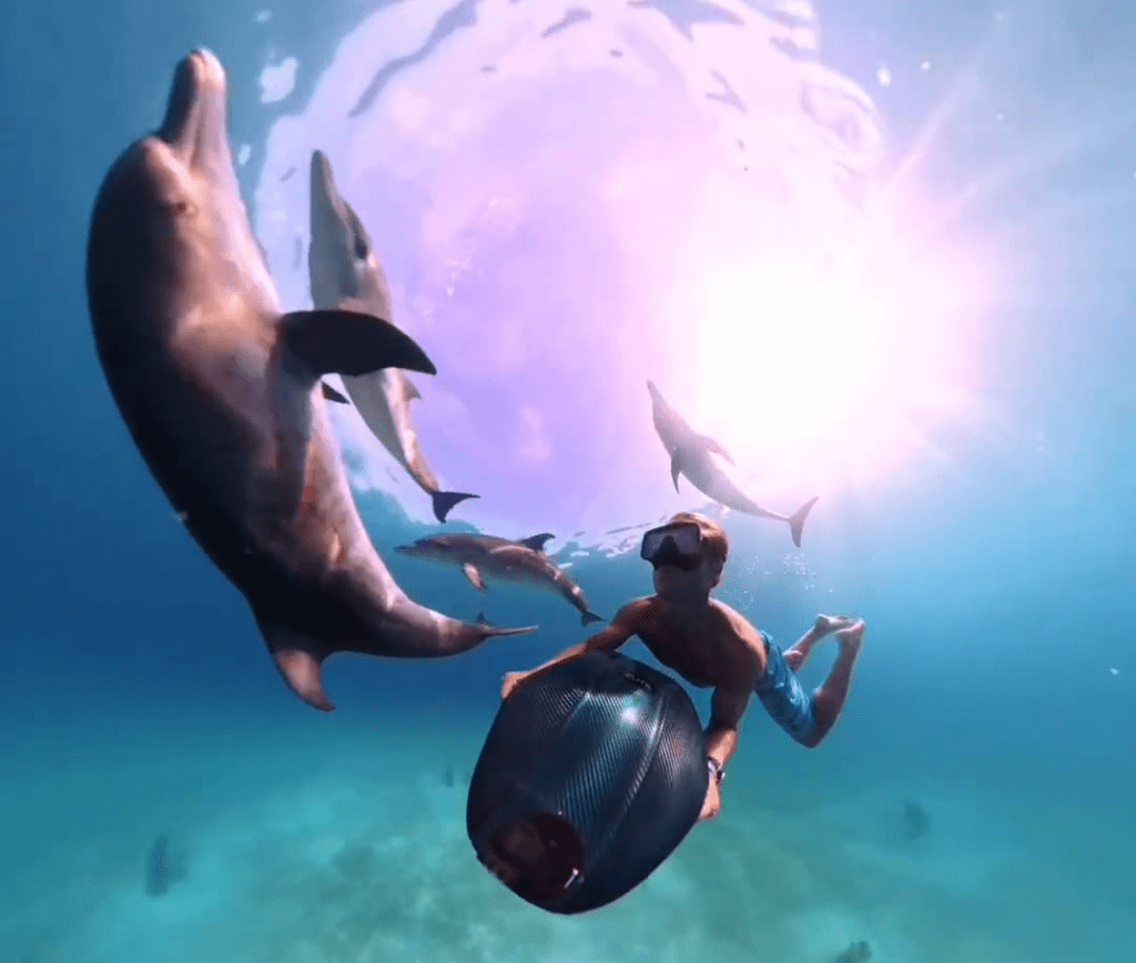 Person using SeaNXT Elite underwater scooter swimming with dolphins in a clear blue ocean.