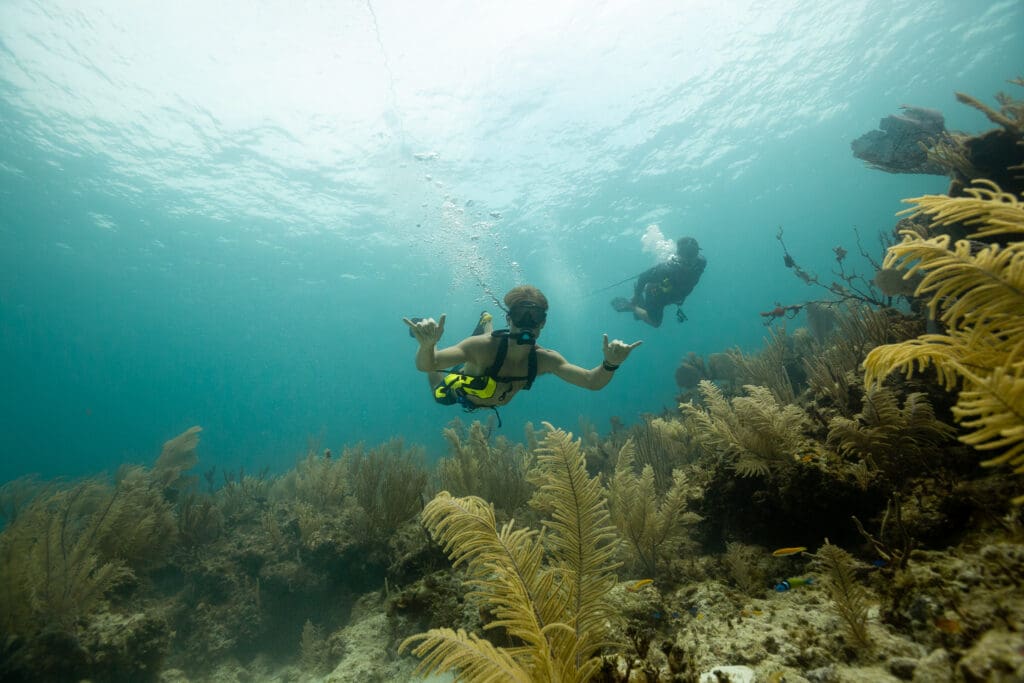 A diver explores a reef using a BLU3 Nomad dive system which is portable thanks to Smart Reg dive technology.