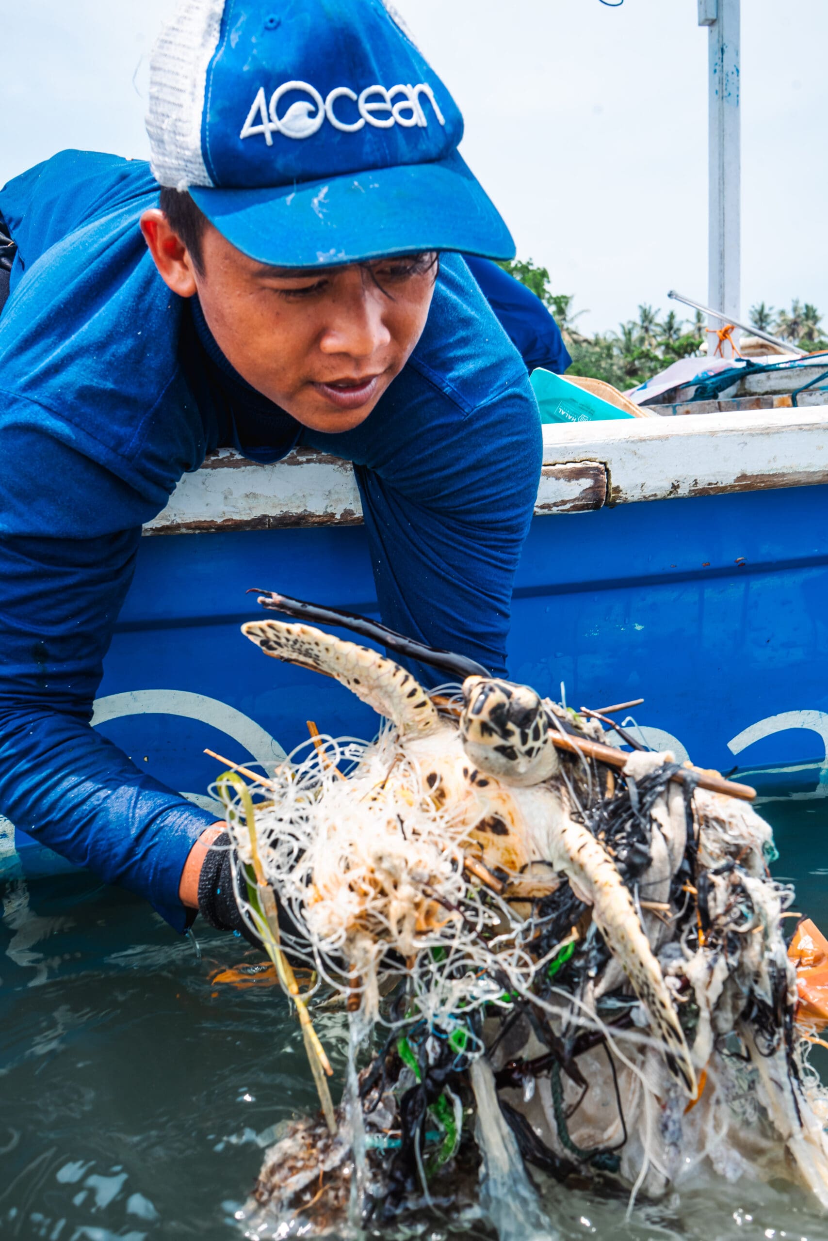 4ocean diver rescuing sea turtle from ocean trash and discarded debris