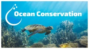 ocean-conservation-1