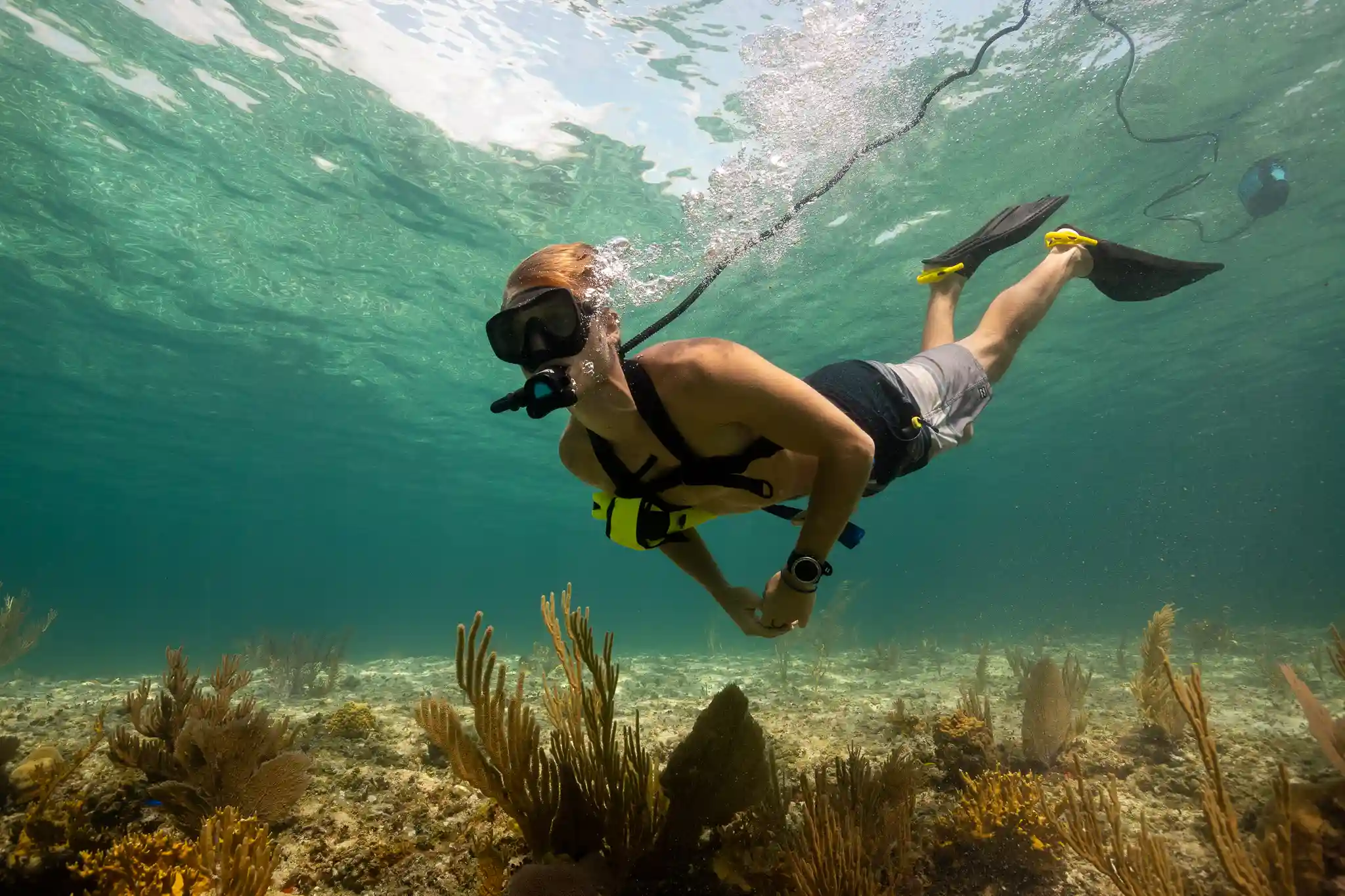 BLU3 diving in clear ocean water